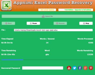 Appnimi Excel Password Recovery - In Progress