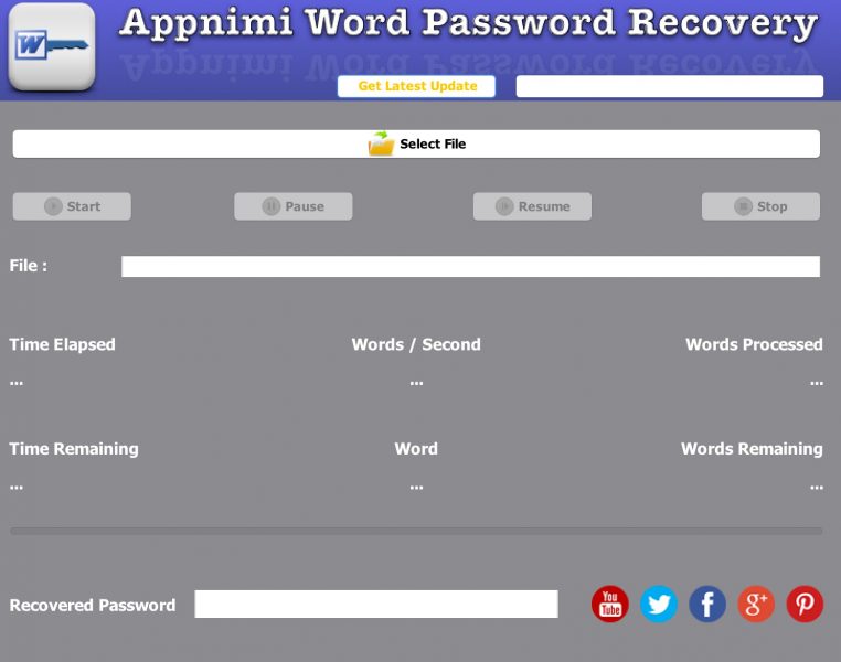 Appnimi Word Password Recovery - Initial Screen